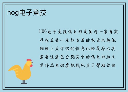 hog电子竞技